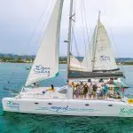 watermelon-sugar-higgghhh-10